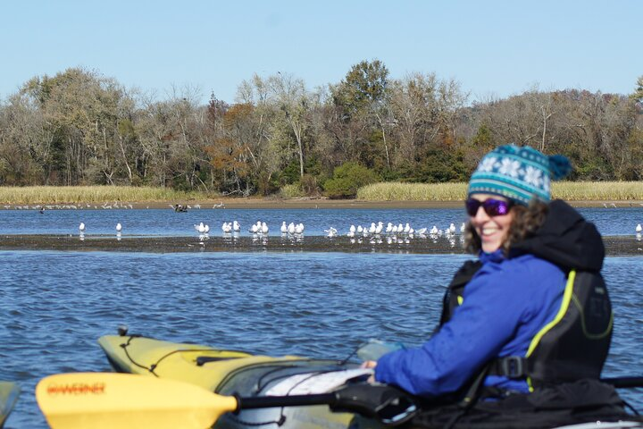 Sandhill Crane Kayak Tour with Chattanooga Guided Adventures - Photo 1 of 9